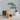 Natural Signature - Eco Speaker