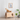 Natural Signature - Moggy Coffee Table (w/cushion)