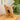 Natural Signature - Kitty Clock