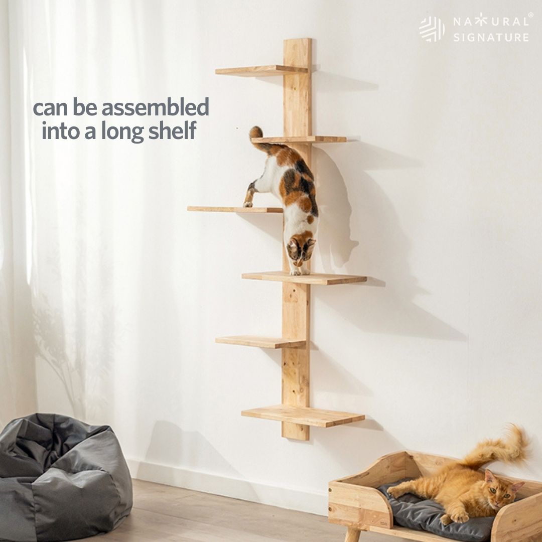 Catsaurus Racks Natural Signature - Cat Hanging Climbing Rack