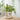 Natural Signature - Mini Hanging Stand