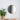 Natural Signature - 600 Moon Mirror