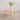 Natural Signature - Big Trio Coffee Table