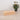 Natural Signature - Tatami Rec Side Box (lower)