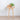 Natural Signature - Ballet II Console Table