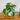 Artificial Potted Plant–Deep Green Syngonium