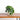 Artificial Potted Plant–Deep Green Syngonium