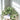 Artificial Potted Plant–Snowy Ivy