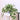Artificial Potted Plant–Snowy Ivy